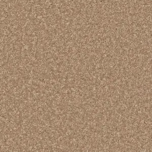260 BEIGE Pilotis - 4-Meter Breit Teppichboden